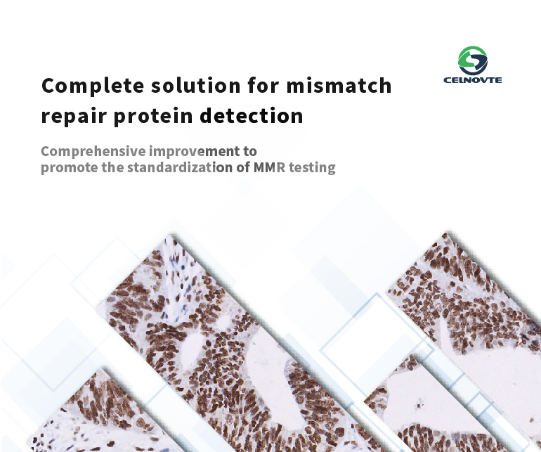 Complete solution for mismatch repair protein detection