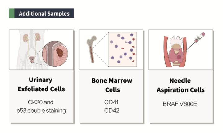 CNT 480 Fully Automatic Liquid-Based Cytology &Immunocytochemistry Stainer