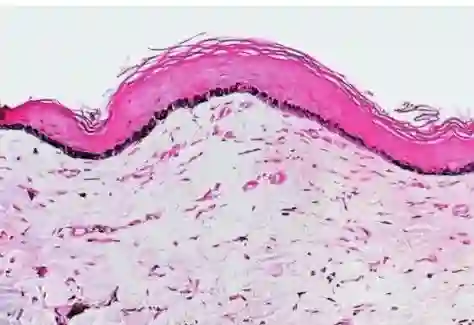 Melanin staining