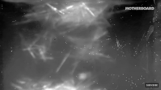 Cells may swell, stretch, or form bubbles