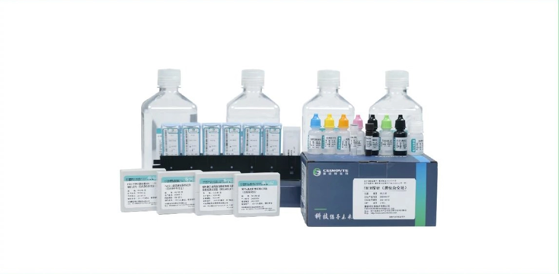 Super-ISH Molecular Diagnostic Precision Solution