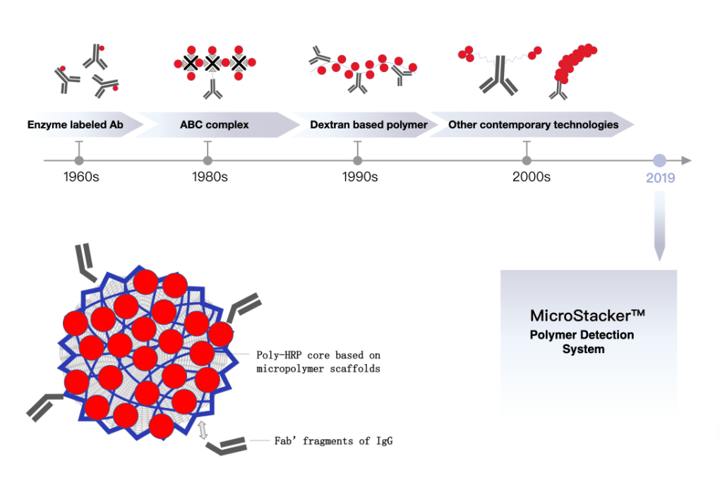 MicroStacker™ Plus Polymer Detection Kit