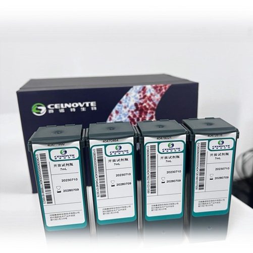 MMR panel MSH6 (C5D11)