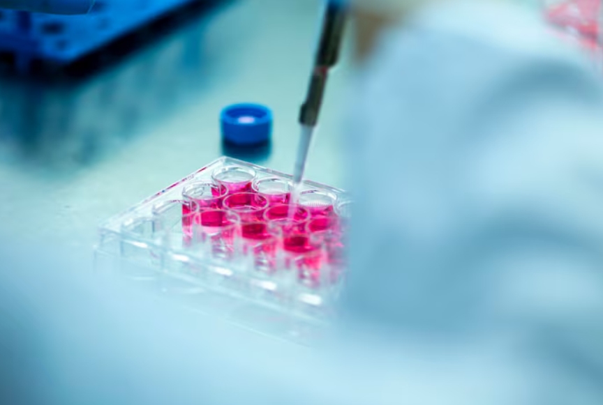 Why IHC Is Classified as an Immunoassay