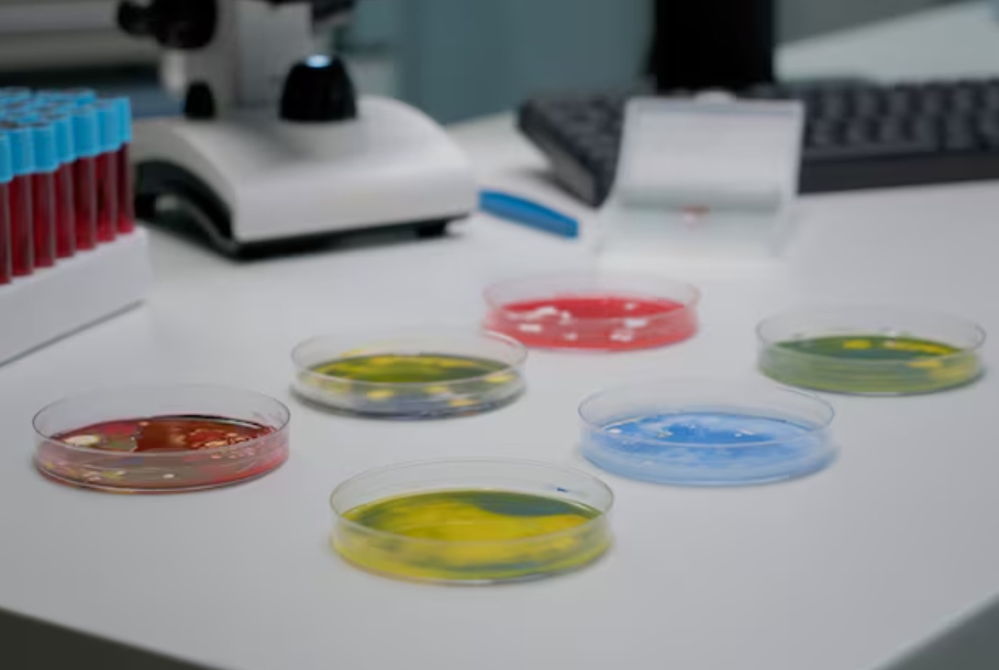 Primary Antibody From Antigen to Laboratory Reagent