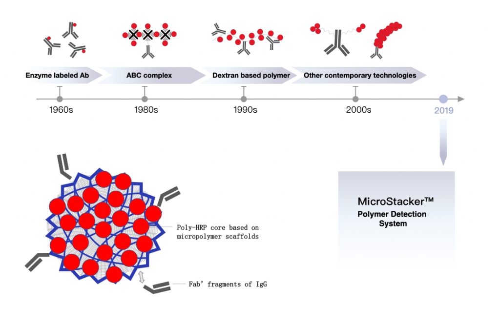MicroStacker™ system lets pathologists test a full typing set