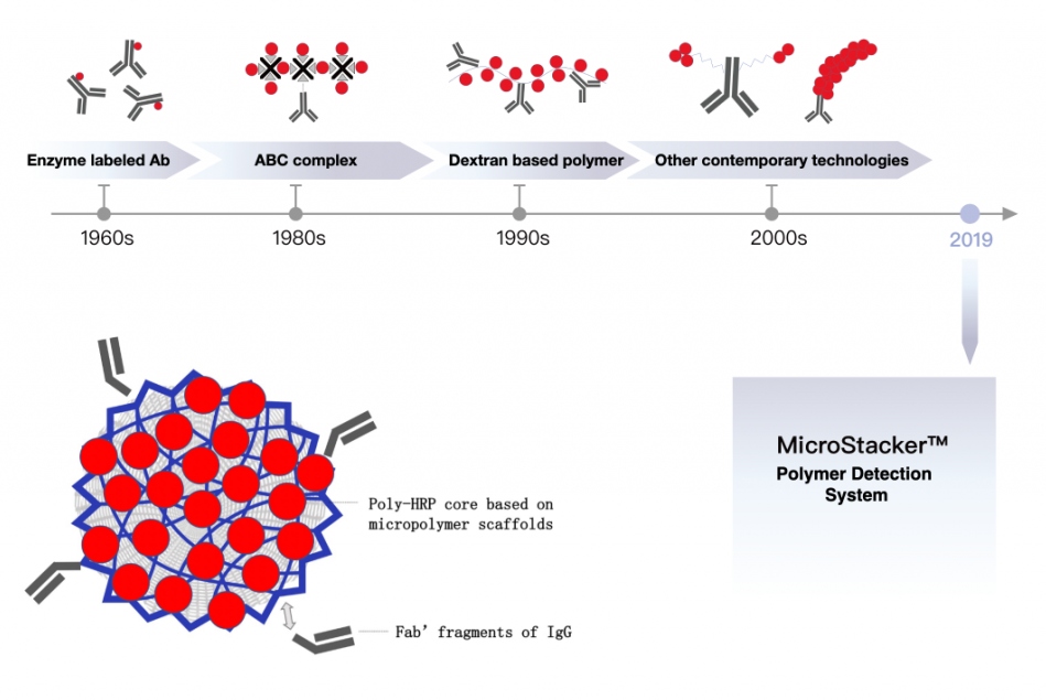 MicroStacker™ uses autonomous kernel methods for molecular design