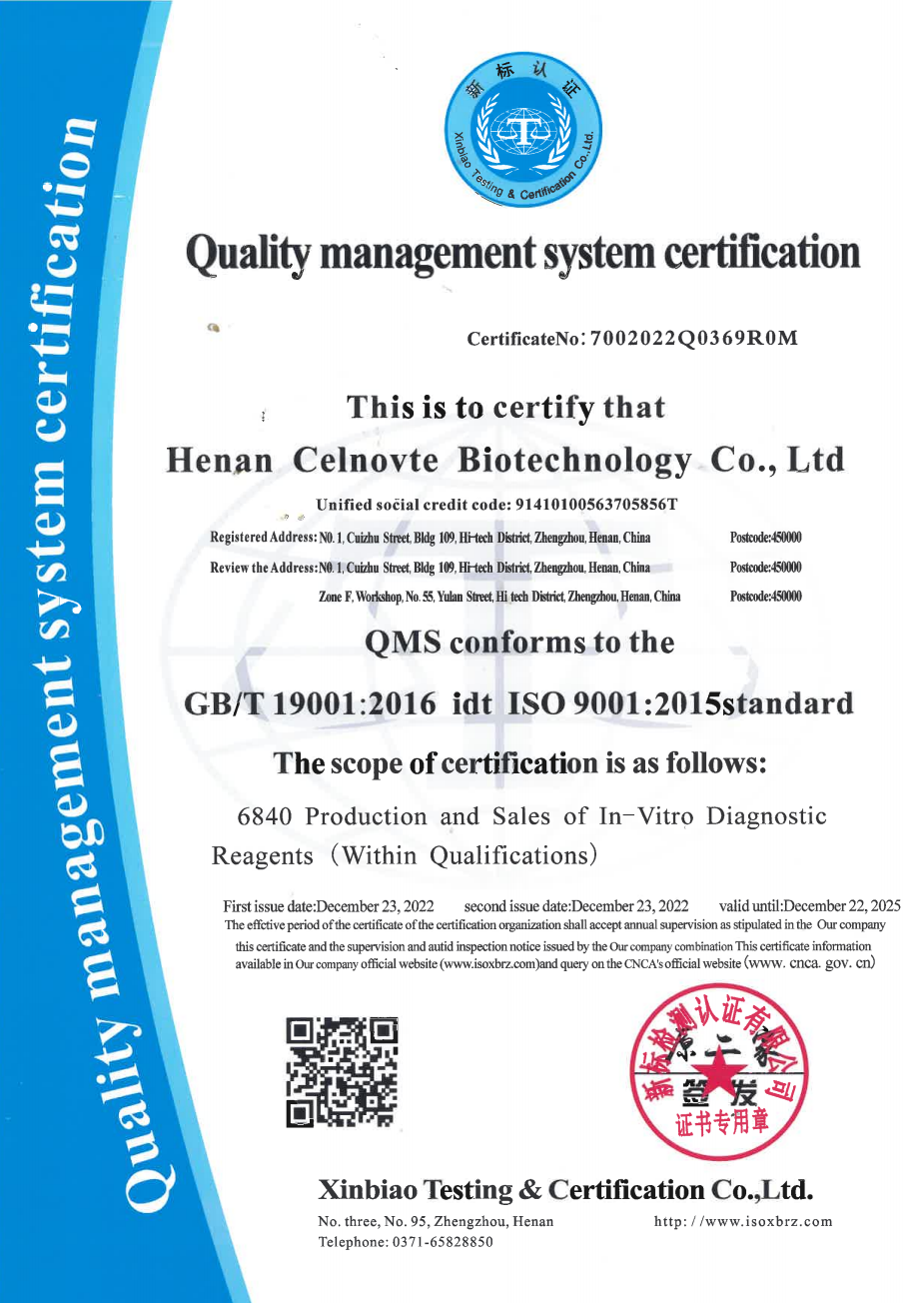 ISO 9001