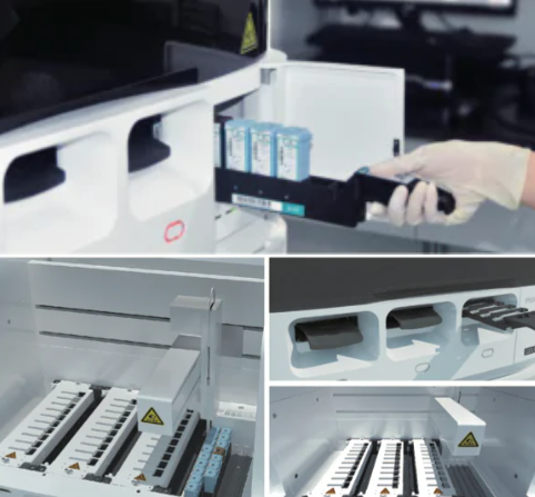 Automating Multiplex Immunohistochemistry: Boosting Lab Efficiency