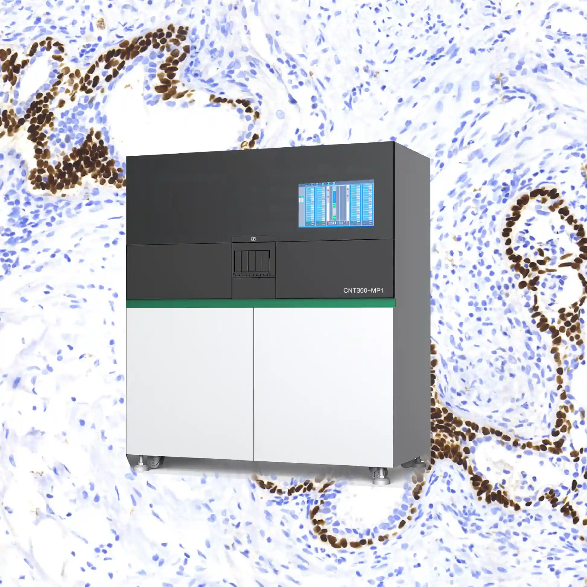 ihc-stainer
