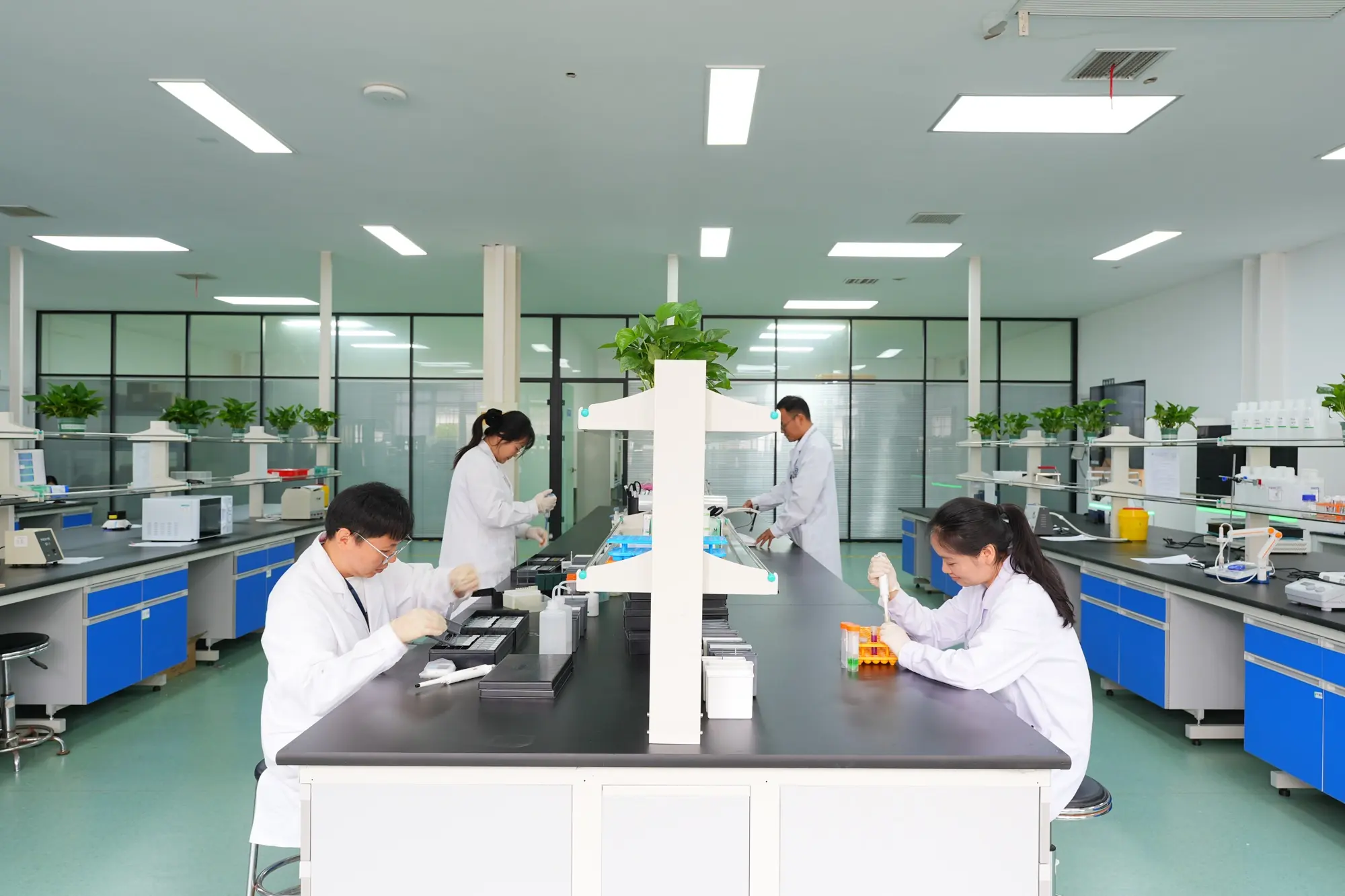 pathology-lab