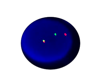 FGFR1 Breakapart Detection Kit