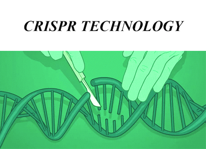 Introduction for CRISPR LiveFISH and CASFISH Technology