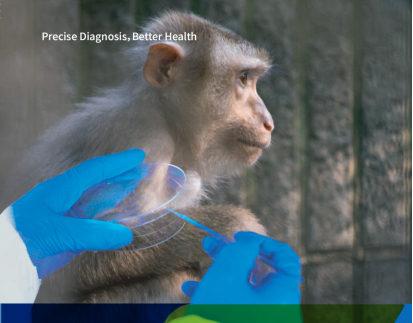 Monkeypox virus Real-time PCR detection solution