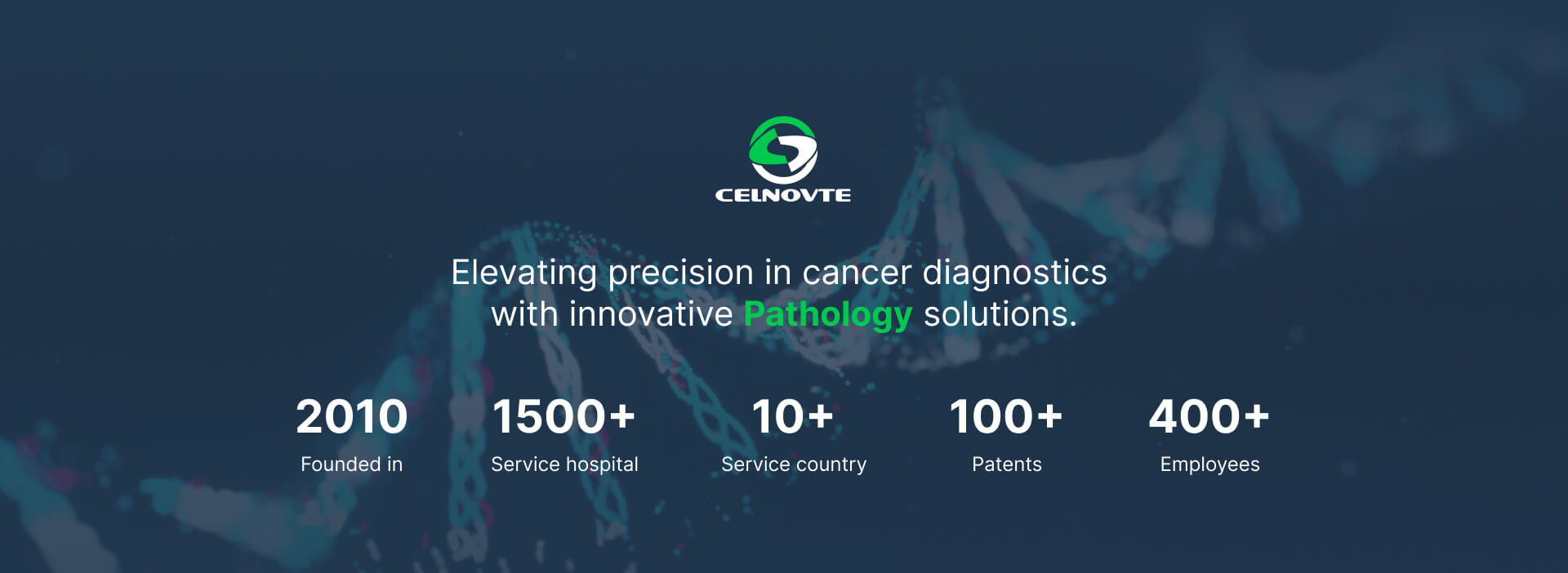 Celnovte company info