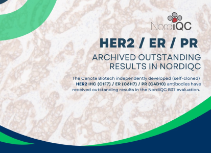 Celnovte achieved outstanding results in the 2024 NordiQC external quality assessment