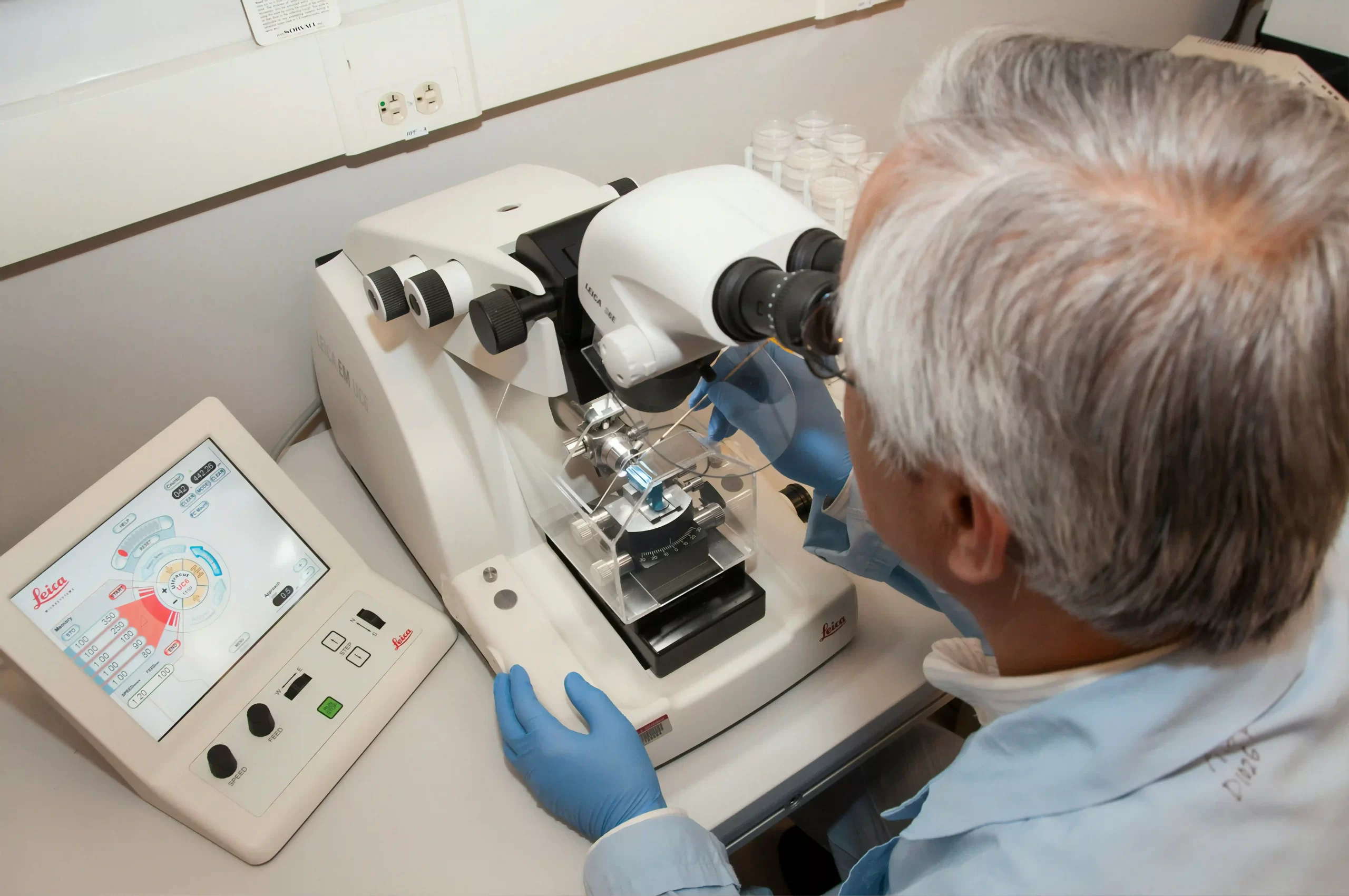 How to Optimize Multiplex Immunohistochemistry Staining Protocols