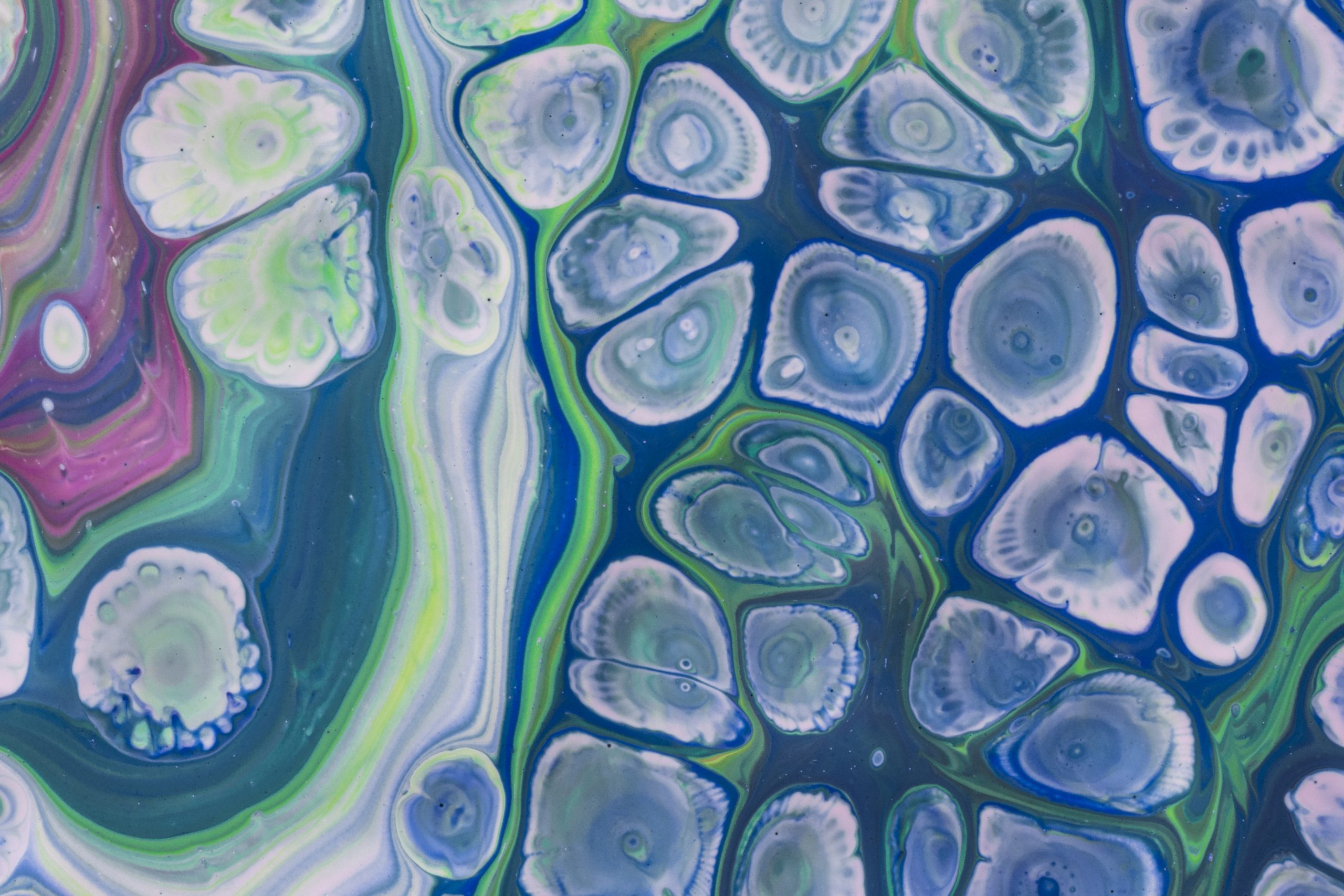 A Guide to Better IHC Staining: Steps, Troubleshooting, and Optimization