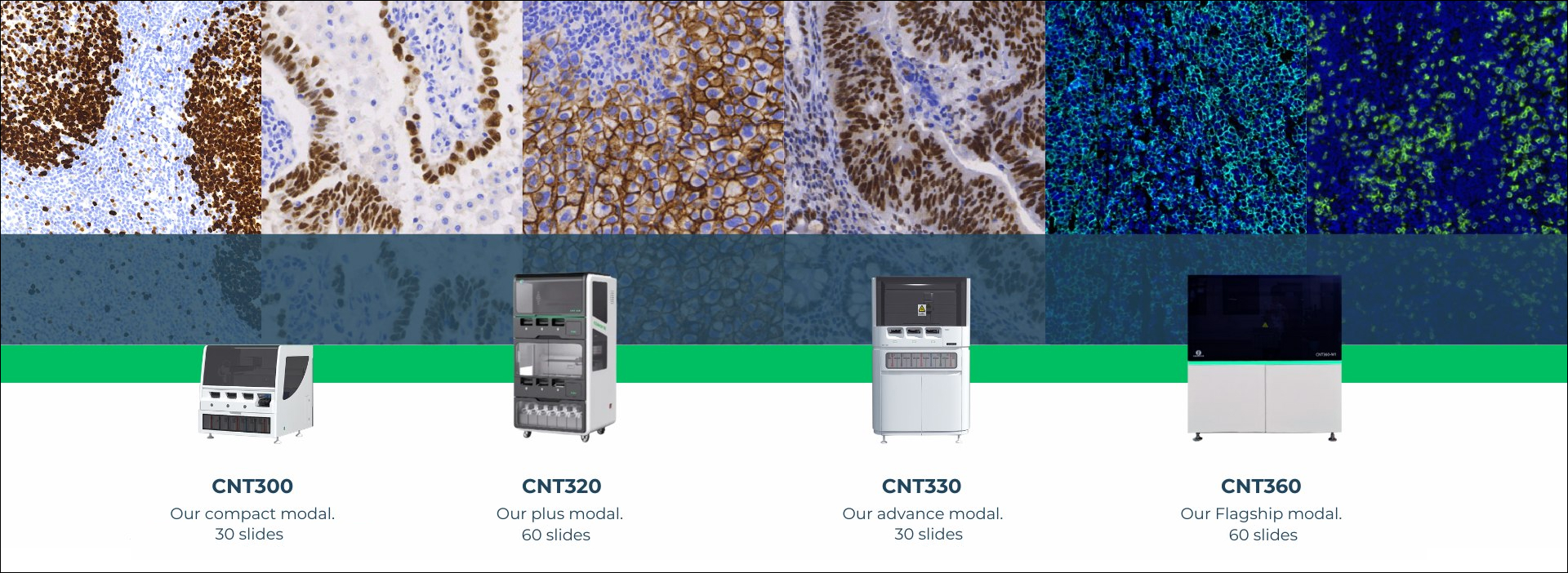IHC Stainer