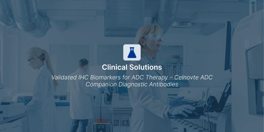 Validated IHC Biomarkers for ADC Therapy – Celnovte ADC Companion Diagnostic Antibodies