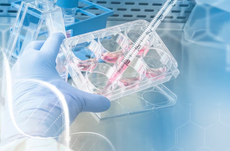 What is Molecular Diagnostics and Its significance in Healthcare