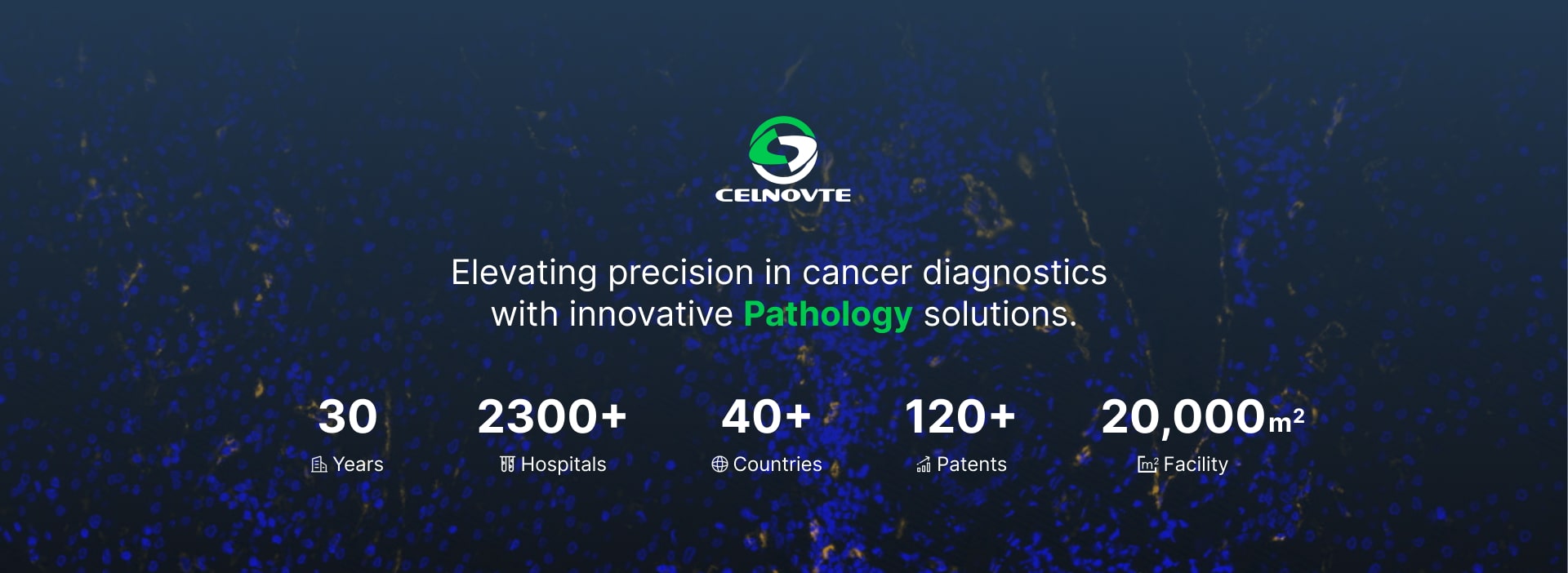 Celnovte Banner